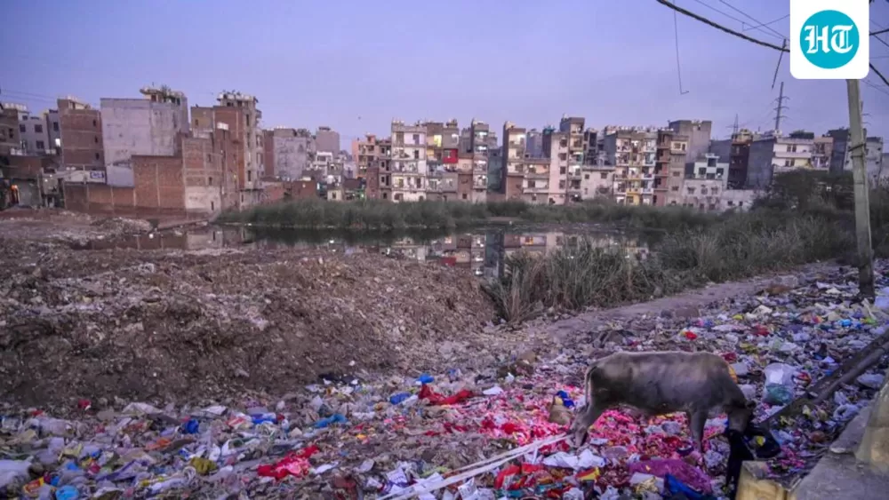 Delhi's Lost Legacy: The Wetland That Vanished Amidst a Bureaucratic Blame Game