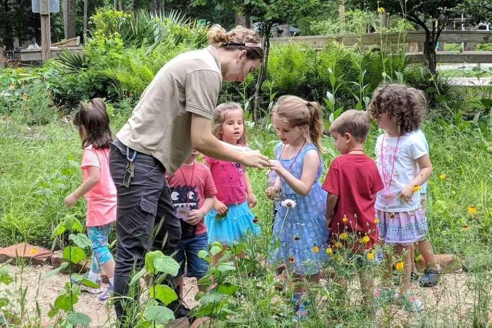 Autumn Adventures: Unearthing Weekend Wonders in Lake Houston