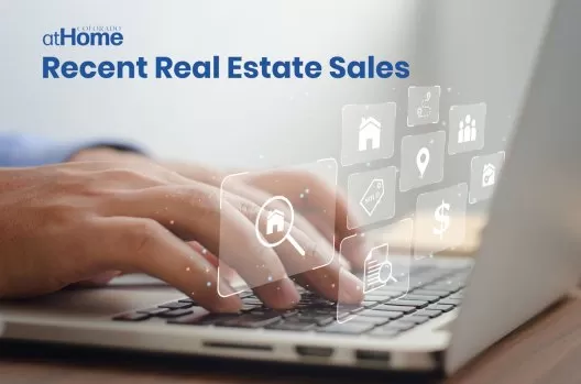 The Unseen Pulse: Stories Woven Through a Day of Property Shifts