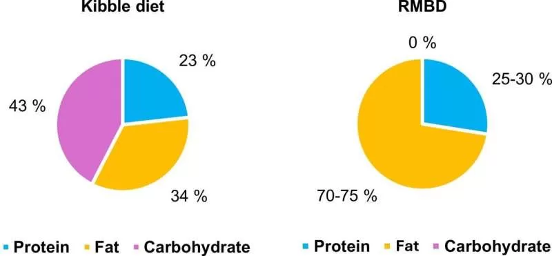 The Dynamic Dog: Unraveling Canine Metabolic Secrets for Optimal Nutrition