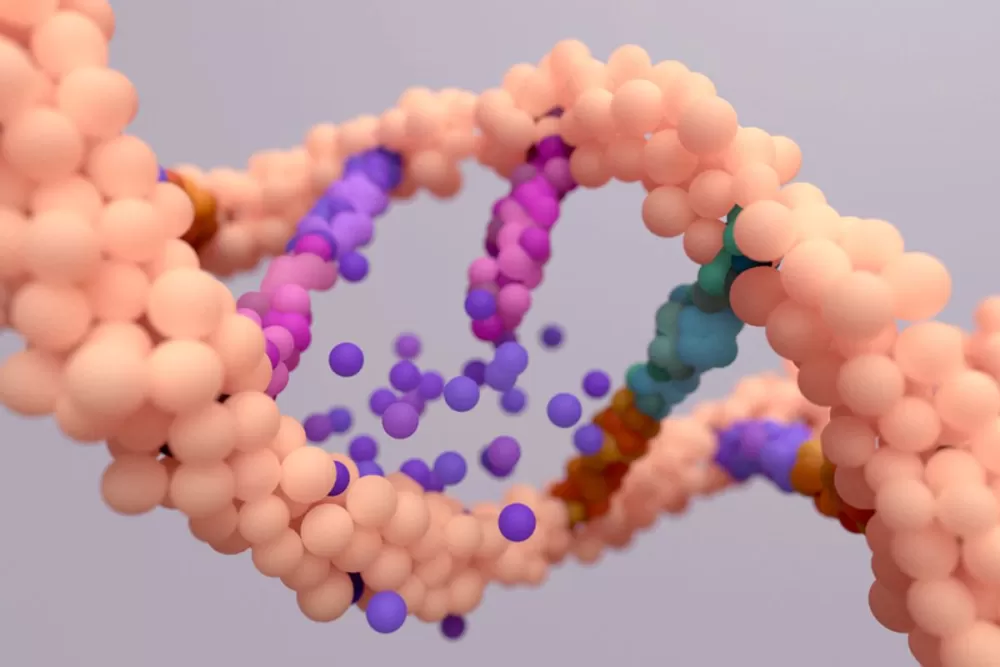 The Great Acceleration: Why Human Evolution Never Stopped, It Only Sped Up