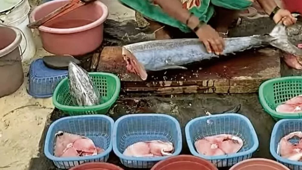 Unearthing Culinary Gold: The Story of Ishwana