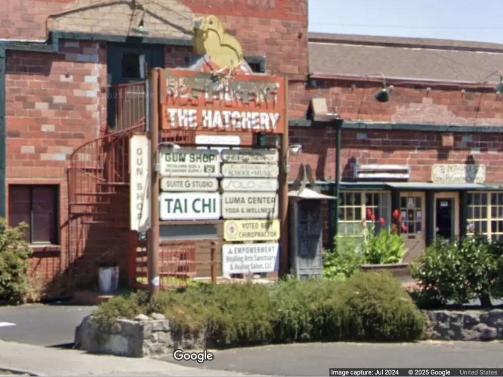 Petaluma's Quirky Spring Canvas: Where Art Bloomed in the Most Unexpected Places