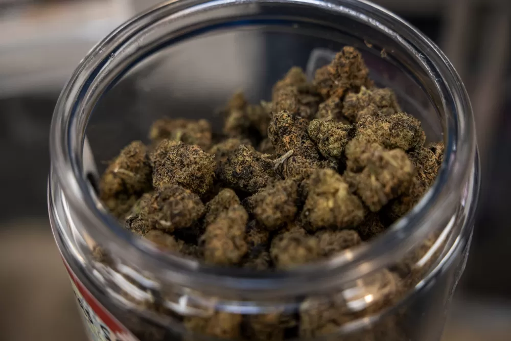 Cannabis's Untapped Potential: Why Medical Research Is Lagging Behind the Green Rush