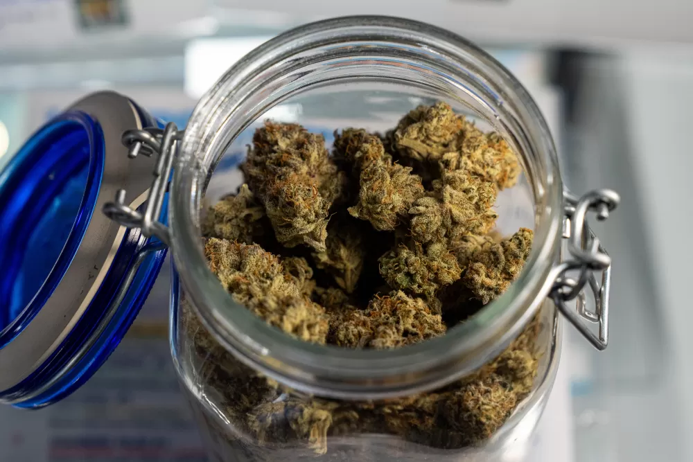 Unlocking Alaska's Green Scene: A Visitor's Honest Guide to Cannabis