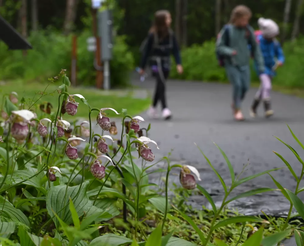 Family Adventures in Alaska: Making the Last Frontier Fun for Kids