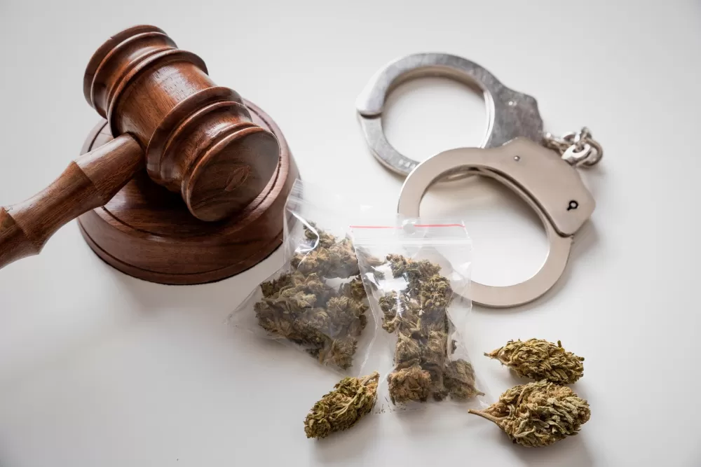 The Shifting Sands of Cannabis Justice: Fewer Arrests, Yet Old Shadows Linger