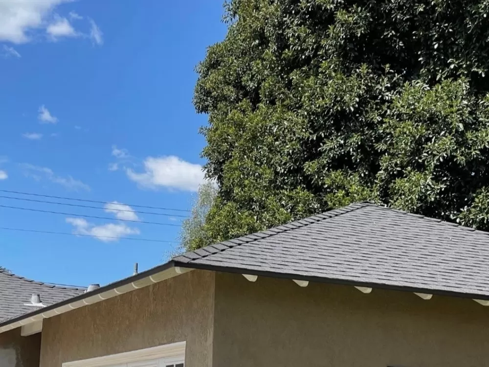 A Golden Opportunity or a Risky Gamble? Riverside County Gears Up for Massive Property Tax Auction