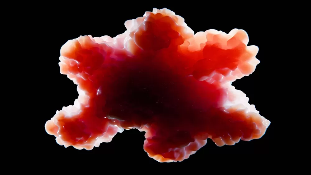 The Incredible Rise of Human Fat Organoids: A Game Changer for Medicine