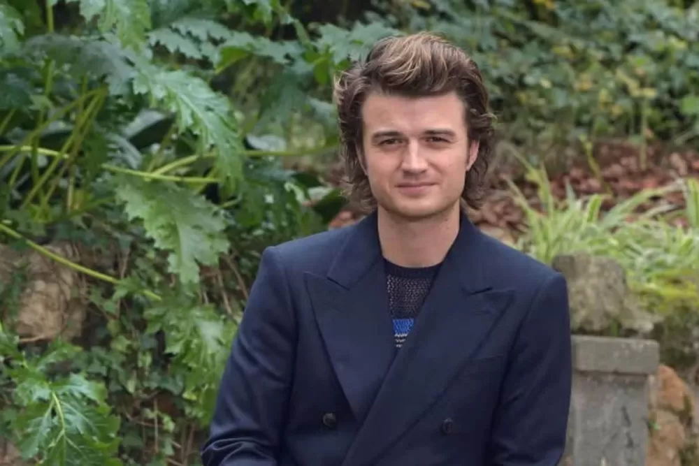 The Stranger Things 'What If': Joe Keery Almost Played Jonathan Byers!