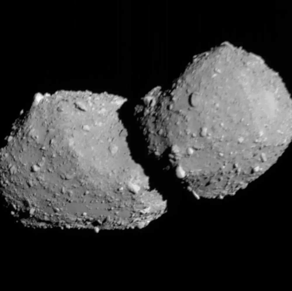 The Curious Case of Asteroid Torifune: A Contact Binary Revealed