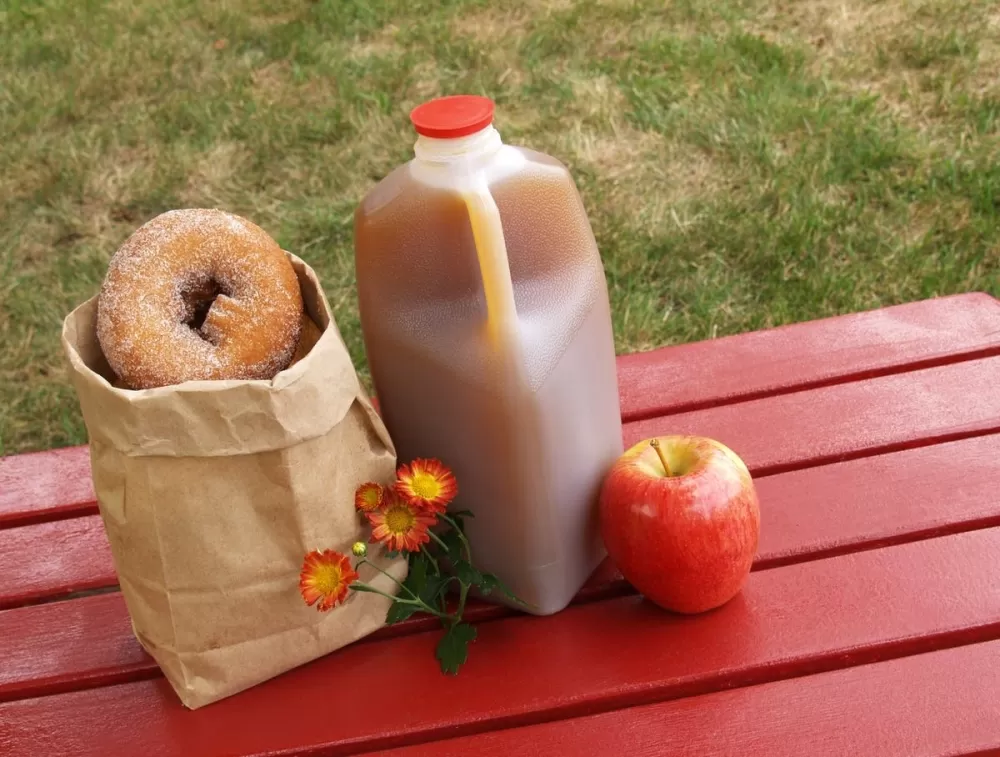 Cider, Conversation, and New Connections: Natick’s Autumn Community Social