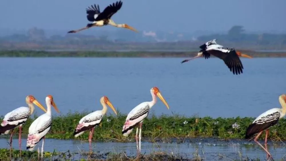 Durga Puja 2026 – Why Shantipur in Nadia Is the Perfect Off‑beat Getaway for Culture Lovers