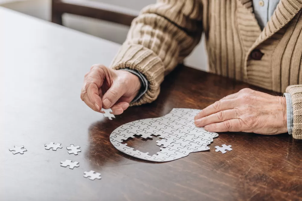 The Missing Piece of the Puzzle Holding Up a Key Alzheimer’s Drug