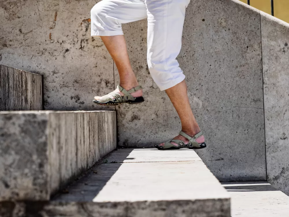 The Surprising Number of Daily Steps That Could Sharpen Your Mind