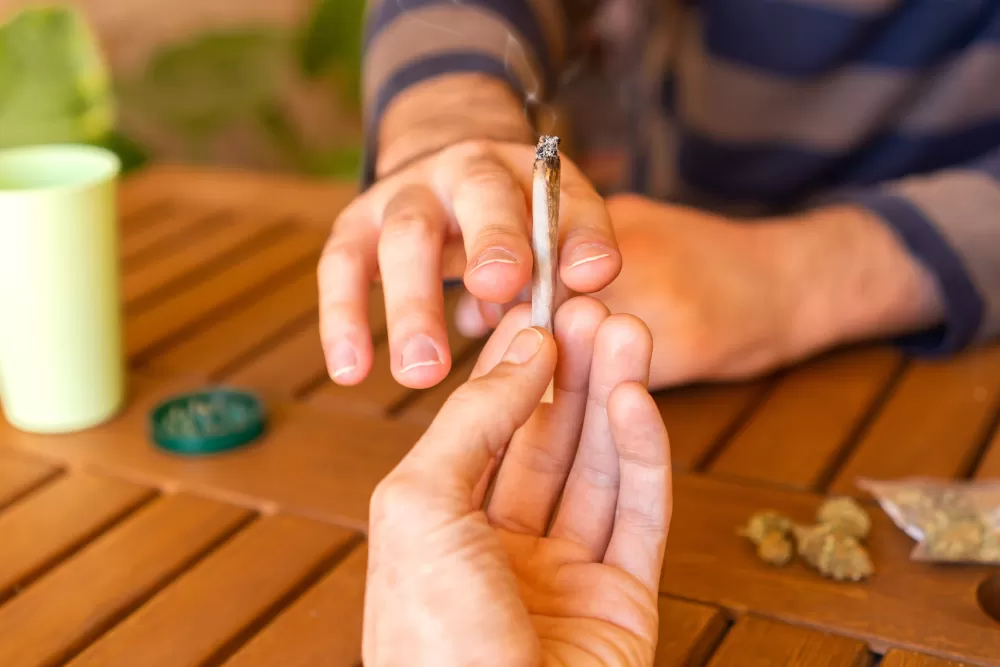 Marijuana Legalization May Be Raising Heart Risks, Study Finds