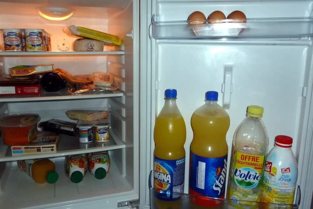Which Fridge Keeps Your Leftover Dal Fresh Overnight? A Practical Guide for Indian Kitchens