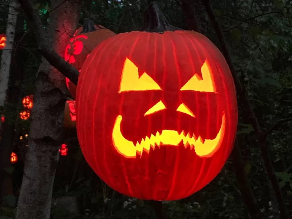 Spooktacular Trunk‑or‑Treat Events Across Virginia This Halloween